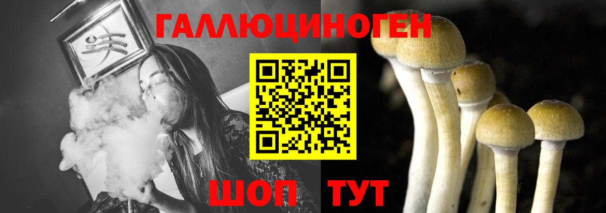 Самара  Галлюциногенные грибы мухоморы  Вход с VPN 